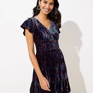 LOFT Blue and Red Floral Velvet Dress